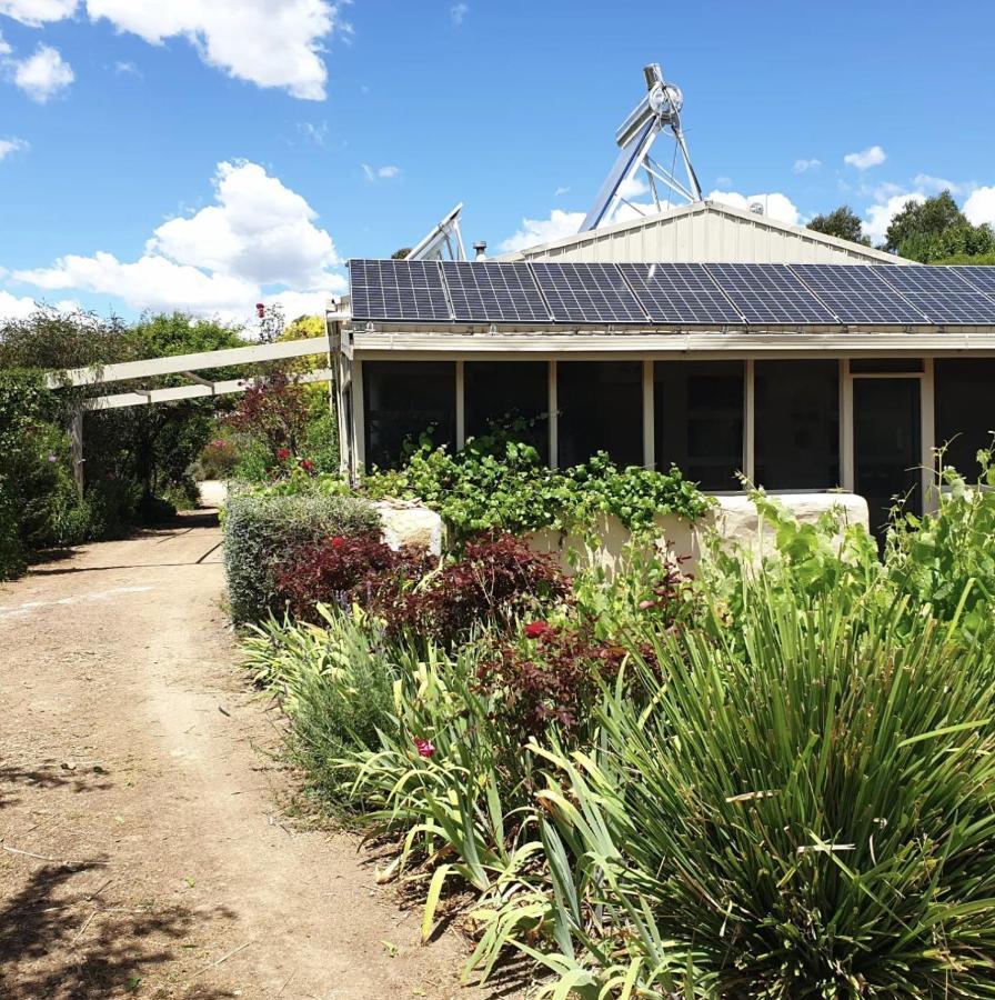 Strath Creek Strawbale Cottage - Wingspread Garden المظهر الخارجي الصورة