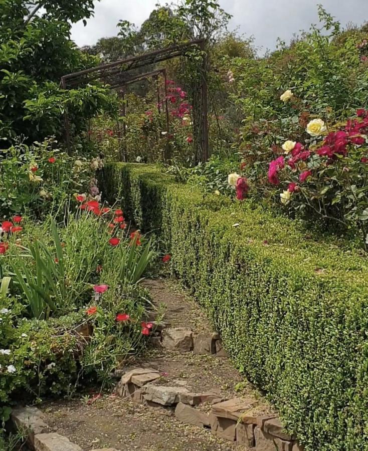 Strath Creek Strawbale Cottage - Wingspread Garden المظهر الخارجي الصورة